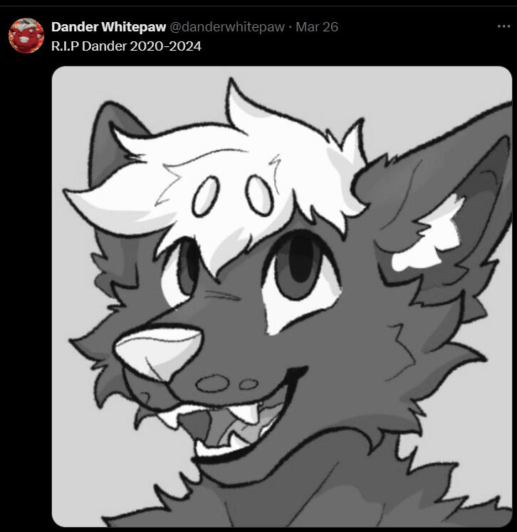 Black & White picture, after getting outed in 2024.